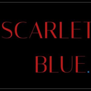 Seductive Sydney Private Escorts