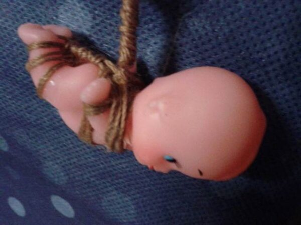 Have You Ever SHIBARI Before - Image 2