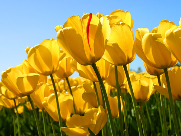 Testing New Addd - Image 3