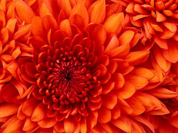 Testing New Addd - Image 4