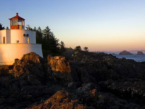 Testing New Addd - Image 2