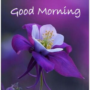 Fresh malayali in al hail near