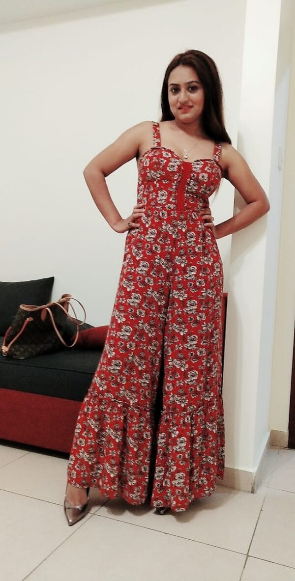 Alka South Indian Escort Dubai - Image 4