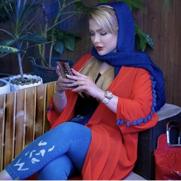 PERSIAN LADYY - Image 2