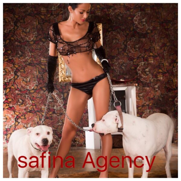Briliant Agency