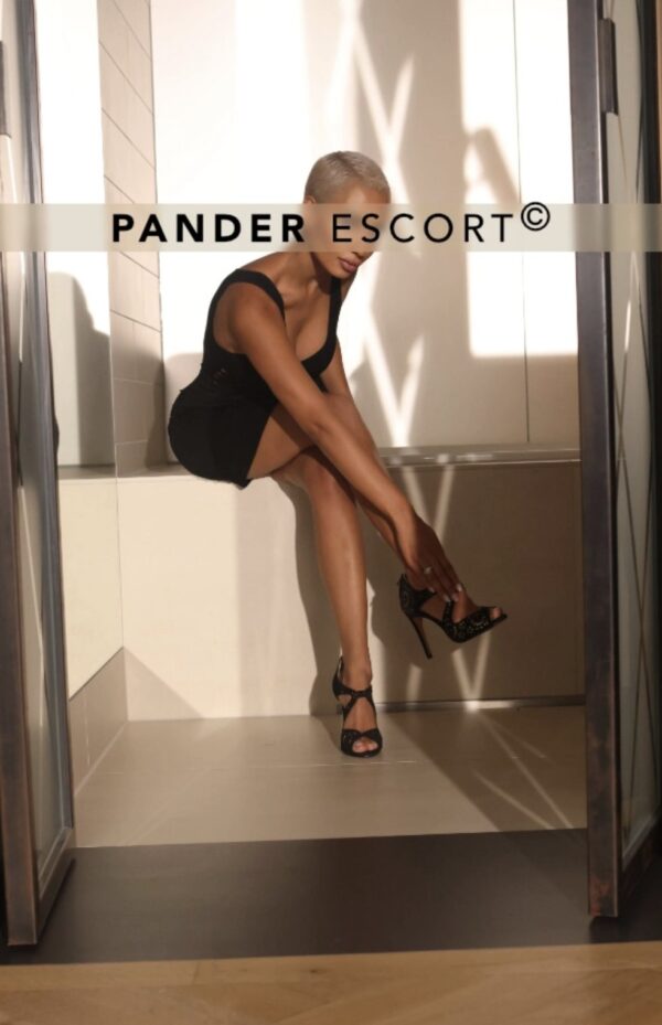 Julianna – Brazilian escort in Munich - Image 5