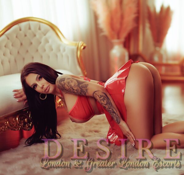 Lucia Desire Escorts  Age - ncy – Moldovan escort in London - Image 11