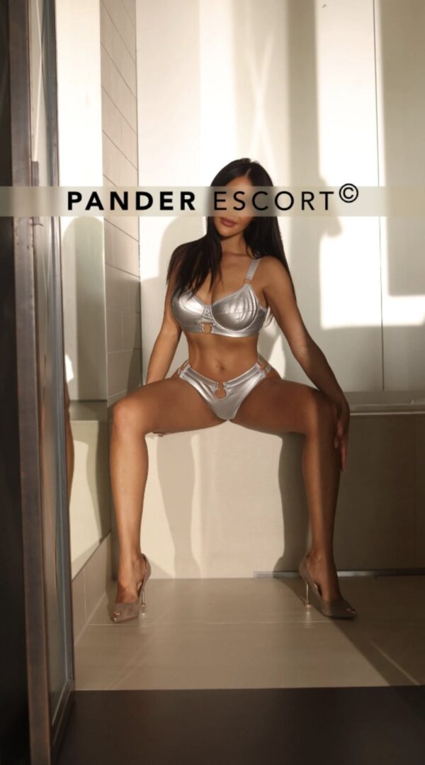 Nicole – German escort in Munich - Image 2